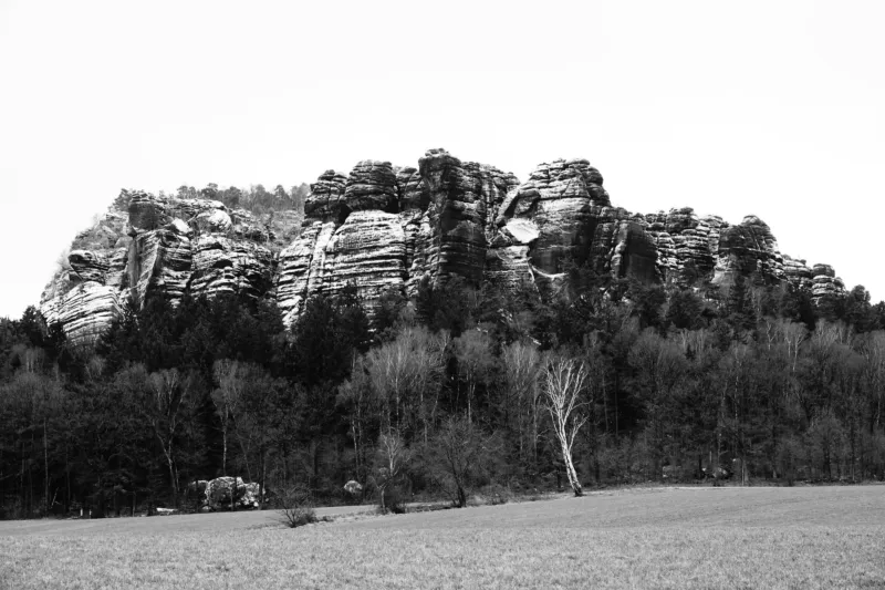 Ansel Adams, mistrz krajobrazu i systemu strefowego